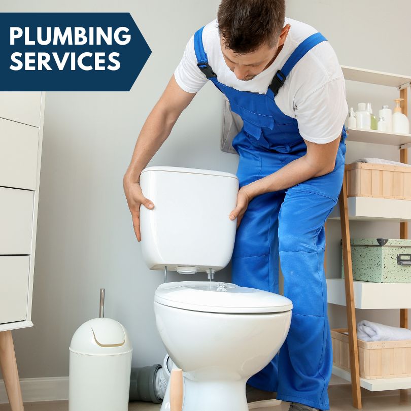 Plumbing Company in Montrose, MI